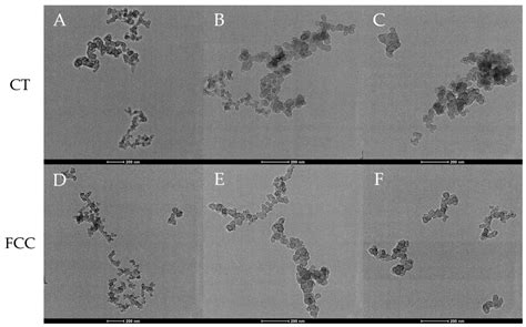 Effect of Fuel Composition on Carbon Black Formation Pathways