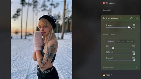 Luminar Neo Features 的图像结果
