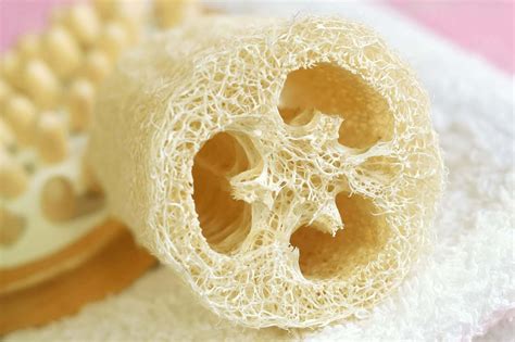 How To Use A Loofah | Storables