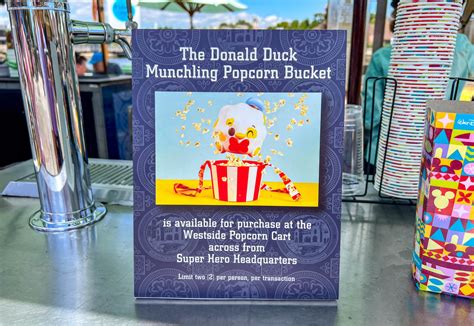 NEW Donald Duck Munchling Popcorn Bucket, Chocolate Piñata, and Plush ...