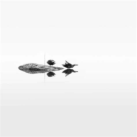 Choi Sungdong - Bnw Minimalism Magazine