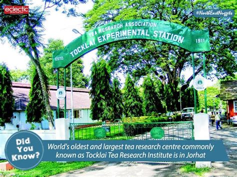 Fund Crunch Cripples World's Oldest Tea Research Institute in Jorhat ...