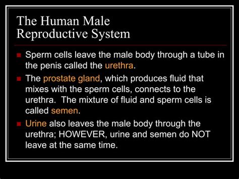Image result for How Is Reproduction Done in Humans