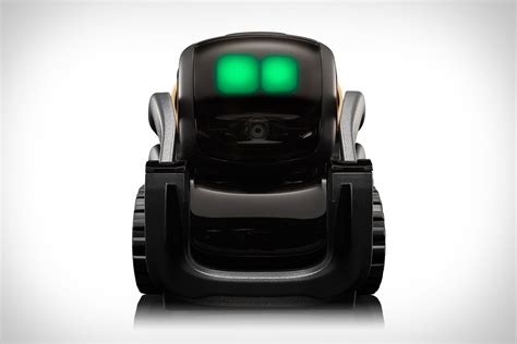 Vector Robot 的图像结果