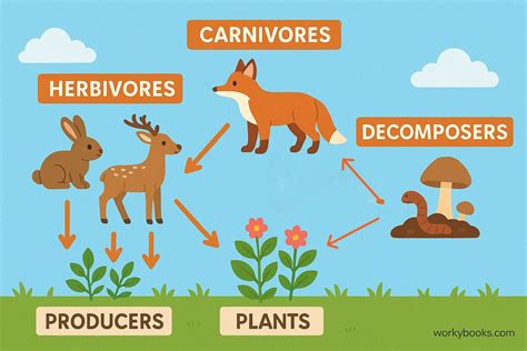 Biosphere Examples 的图像结果