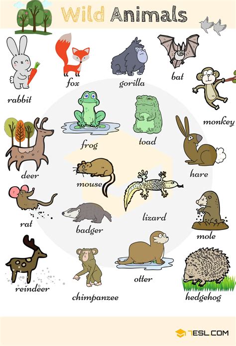 Animals Vocabulary • 7ESL | Animals name in english, English vocabulary ...