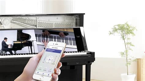 手机钢琴app哪个好_自学钢琴软件哪个好_安卓钢琴软件哪个好-多特图文教程
