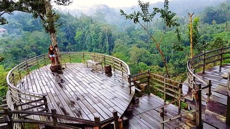 Luwak coffee plantations in Ubud - Reviews, Photos - Bali Pulina Coffee ...