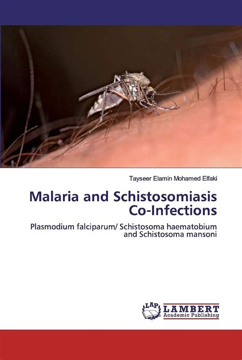 Malaria And Schistosomiasis Co Infections Plasmodium Falciparum ...
