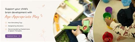 TurtleBee Montessori Toys for Kids | Brain Development & Learning Toys
