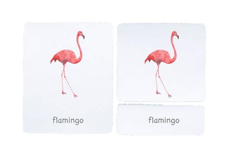 Image result for Language Master Cards