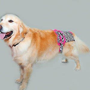 Buy Female Pet Dog Underwear Pants Panties Briefs Underpants Extra ...