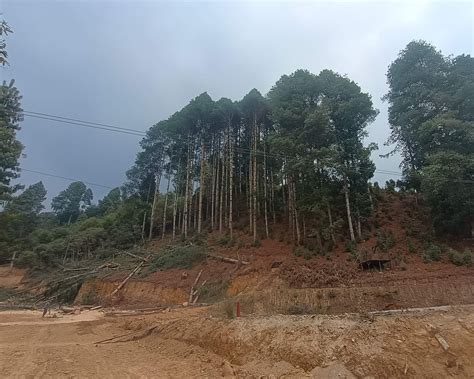 8000 sqm Plot, Gano, Ziro Valley