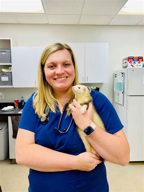 MECHANICSVILLE ANIMAL HOSPITAL - Mechanicsville VA - Hours, Directions ...