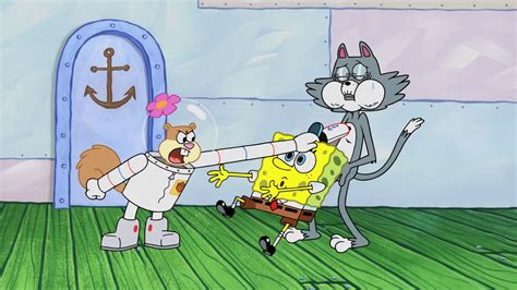 Kenny the Cat | Encyclopedia SpongeBobia | FANDOM powered by Wikia