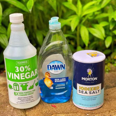 How Make Weed Killer