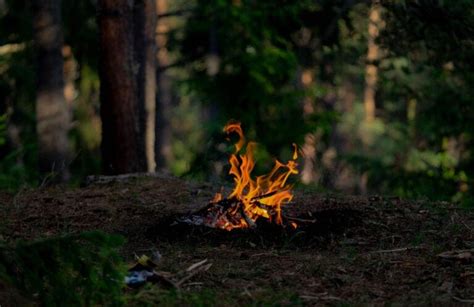 Image result for Making Fire Using Sticks