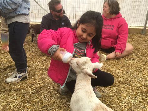 Evening Cuddle the Barn Babies, 500 Country Tea Lane, New Freedom, PA ...