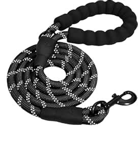 Heavy Duty Dog Leash 5ft with Padded Handle & Reflective Rope for All ...