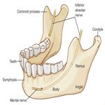 Best Dental Clinic in Delhi | Best Dental Implant in Delhi