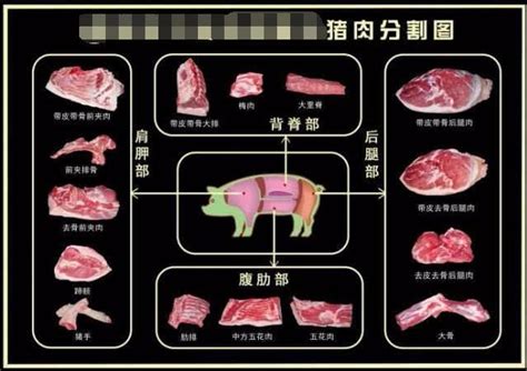 一图看懂猪身上哪块肉最好最健康，最不健康的部位令人万万没想到 - 猪好多网
