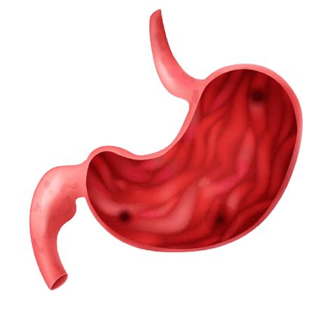 Gastrin Test at ₹1599 (Digestive Disorders) – healthcare nt sickcare