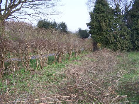 2007 – Tales from a Country Garden