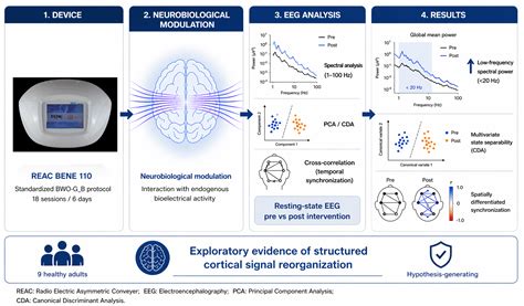 Electrophysiological Changes in Resting-State EEG Following REAC BWO-G ...
