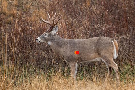 Deer Hunting | Outdoor Life