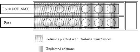 Image result for Lab Scale Papermaking