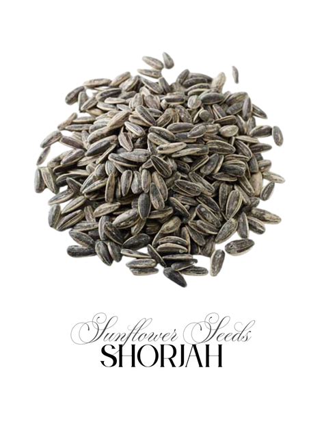 Roasted & Salted Sunflower Seeds (wholesale) – Shorjah Food Ltd