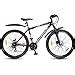 Buy Hero Sprint Pro-Saber 26T Single Speed Mountain Bicycle , 18 Inch ...