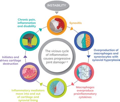 Image result for hormones affecting inflammation in joints