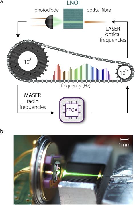 Optical Fiber 的图像结果