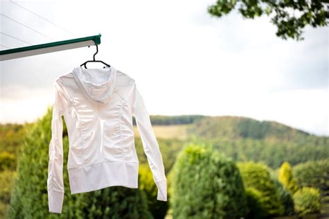 Does Polyester Shrink After Washing? The Truth Revealed | Vanish IN
