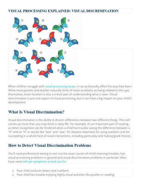 Image result for Visual Perception Meaning