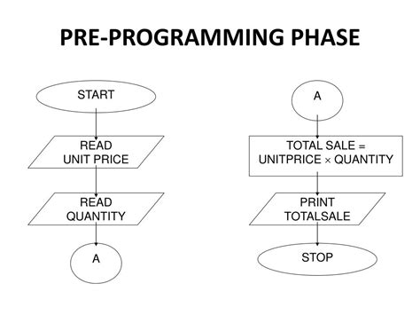 Image result for Programming Phase