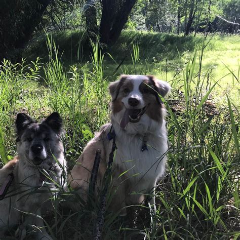Box Elder Campground | Mantua, Utah