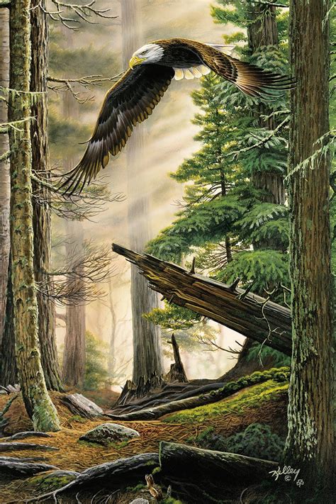 Reflective Art Museum American Heritage Unframed Wrapped Canvas Art, 24 ...