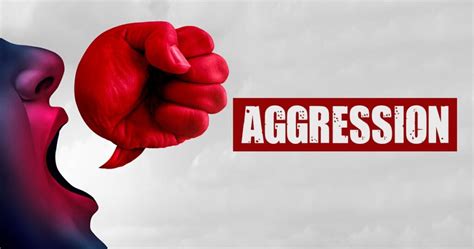 Image result for Signs of Aggression