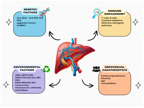 A Closer Look into Autoimmune Liver Diseases