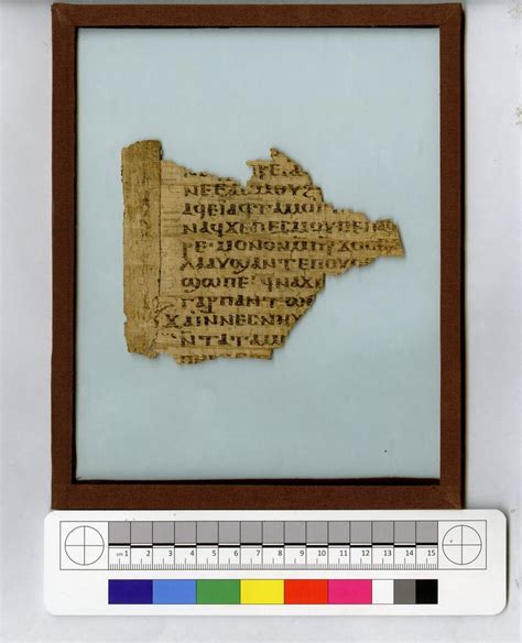 Image result for Codex Form