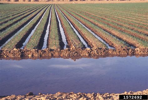 Irrigation Backflow Device Testing 的图像结果