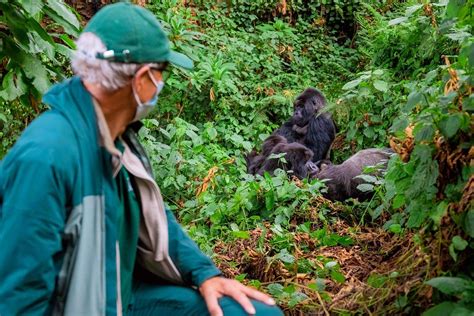 Gorilla Trekking in Uganda Fitness