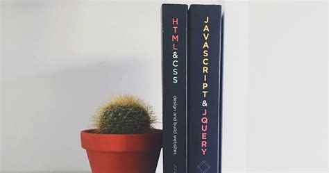 How to Add Style in JavaScript 的图像结果