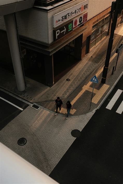 5,000+张最精彩的“256 X 256”图片 · 100%免费下载 · Pexels素材图片