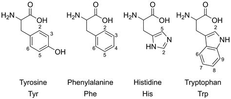 Quantitative 1H Nuclear Magnetic Resonance (qNMR) of Aromatic Amino ...