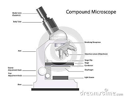 Image result for Modern Compound Microscope