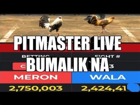 Pitmaster Sabong Tips 的图像结果
