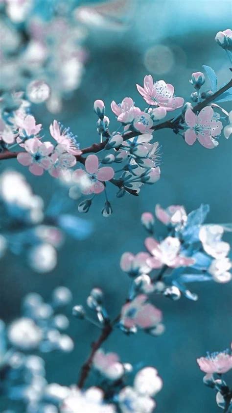 Image result for Spring Video Background